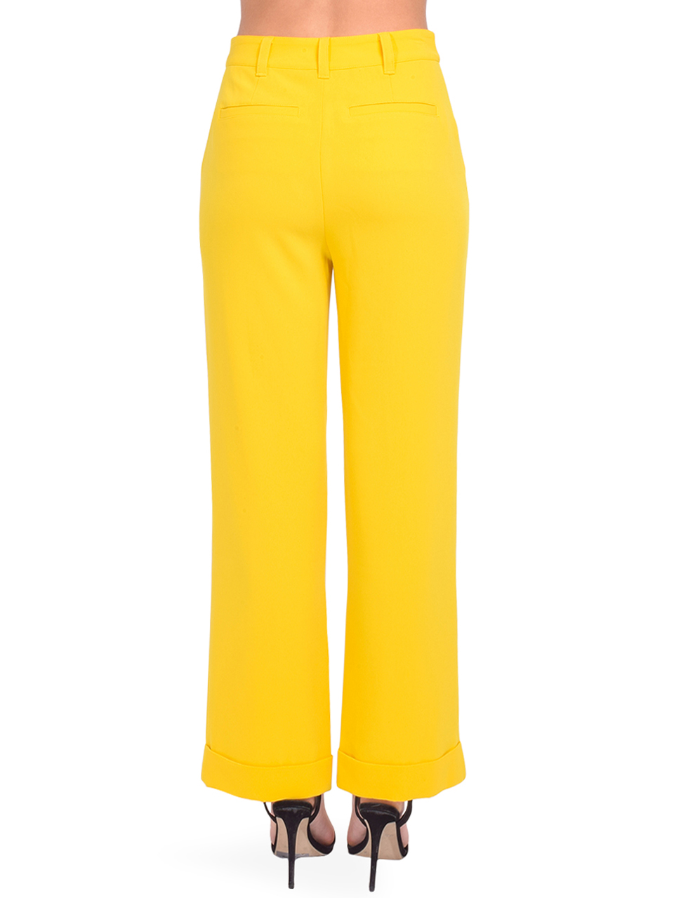 Cinq a Sept Kris High-Rise Wide-Leg Pant in Pineapple Back View 