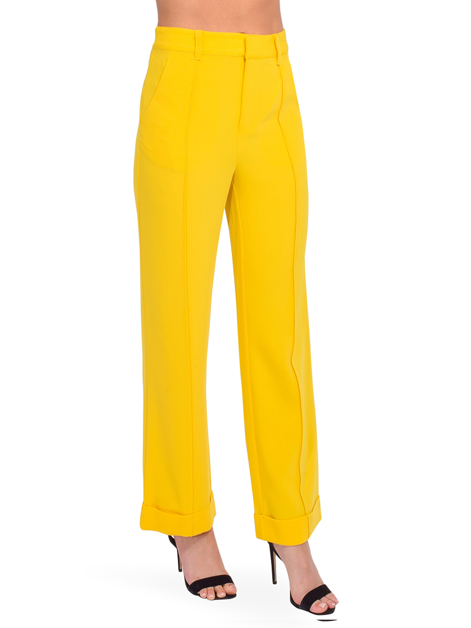 Cinq a Sept Kris High-Rise Wide-Leg Pant in Pineapple Side View 