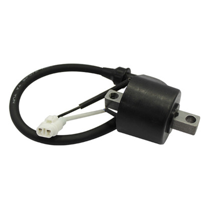 Ignition Coil 62-01009 Compatible With Arctic Cat 0902-034, 3007-548, 4012168