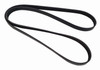 Serpentine Belt. Replacement For No. 20821360
