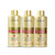 Kit G.Hair Progressive Brush German That Treats Damaged Hair 3x1L/3x33.8fl.oz Kit G.Hair Progressive Brush German That Treats Damaged Hair 3x1L/3x33.8fl.oz