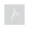 Craft and Cookie Stencil - Orca Whale