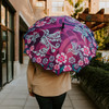 Pacific Umbrella - Hummingbird