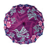 Pacific Umbrella - Hummingbird