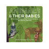 Board Book - Animals & Their Babies
