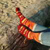 Art Socks - Buffaloes (MashkodeBiizhikina)
