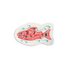 Eco Sponges - Coho Salmon