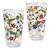 Printed Glass Tumbler (Set of 2) - Hummingbird (Nenookaasi)