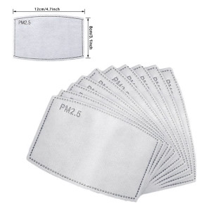 PM2.5 Disposable Filters (Pack of 10) for Reusable Face Masks
