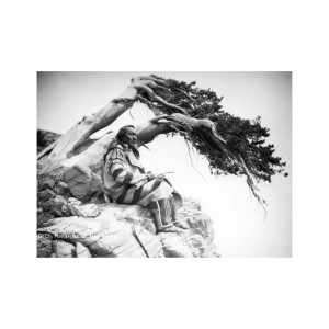 First Peoples Postcard - Siksala Visionary