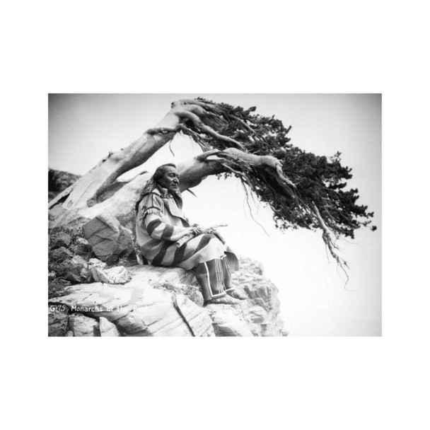 First Peoples Postcard - Siksala Visionary