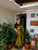 The Maheshwari Border Drape | Silk Cotton