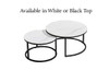 Tesla 2 Piece Sintered Stone Coffee Table with Black Frame