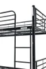 Tiamo Bunk Bed Single Over Single Black