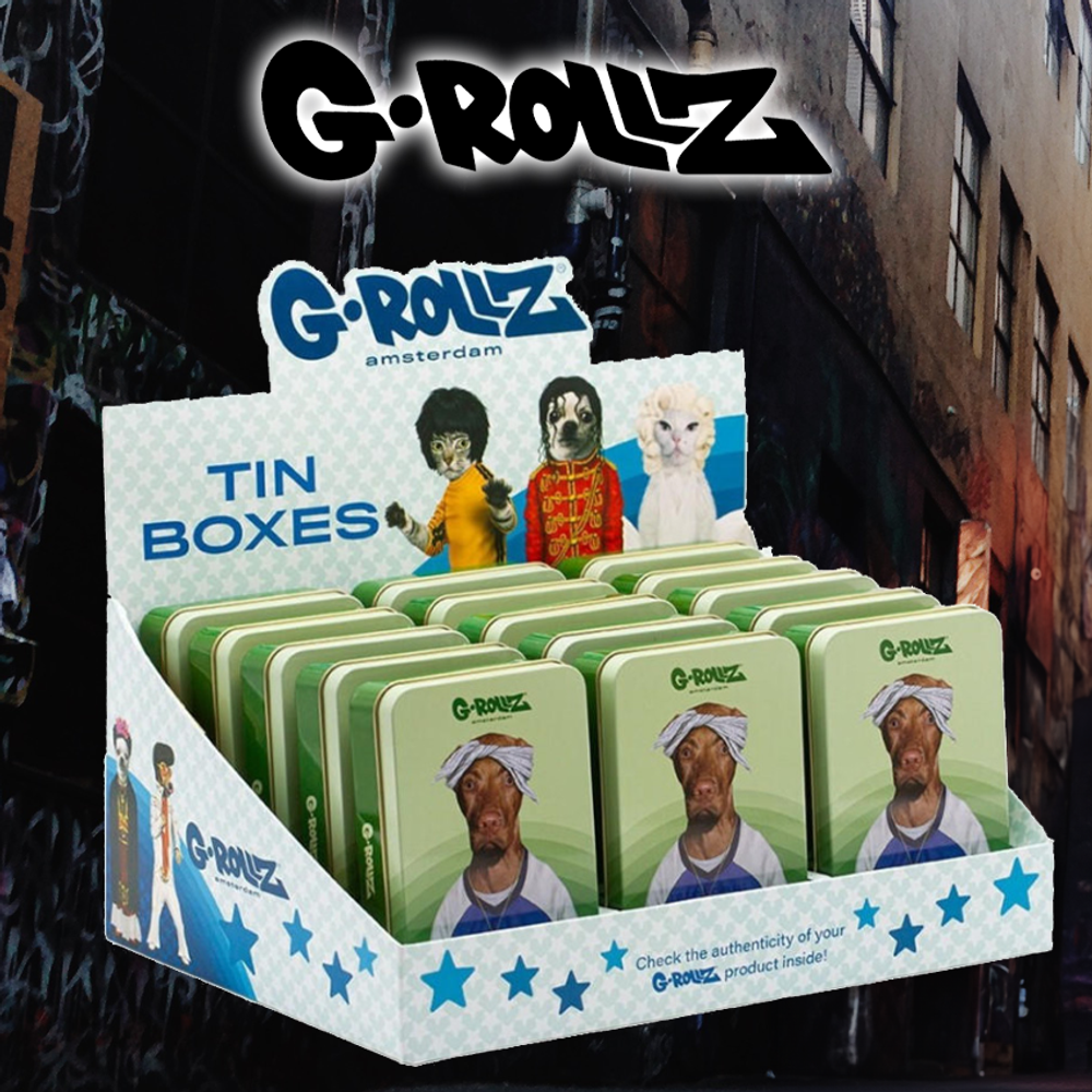 G-ROLLZ - PETS ROCK LARGE STORAGE BOXES - 15CT DISPLAY