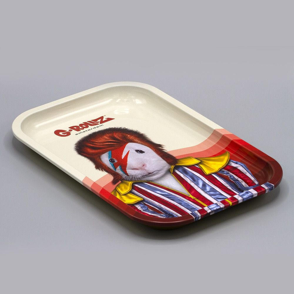  G-ROLLZ - GLAM ROCK MEDIUM TIN TRAY 17.5 X 27.5 CM 