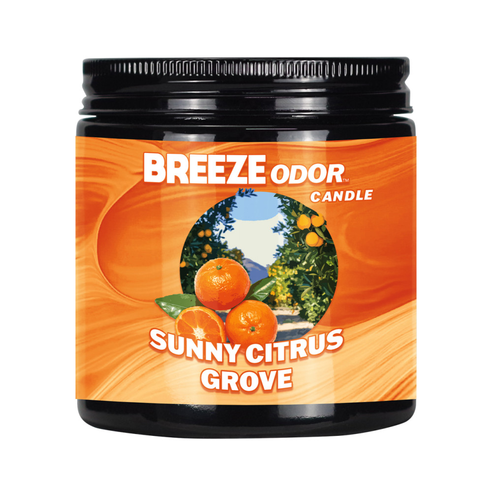 BREEZE ODOR CANDLE 13OZ