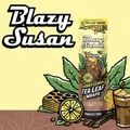 BLAZY SUSAN REAL HONEY LEMON TEA WRAPS 2-PACK - DISPLAY OF 25