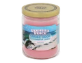 SMOKE ODOR EXTERMINATOR CANDLE
