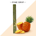 KING PALM 5 MINI PINE DRIP CONE DISPLAY - 15CT