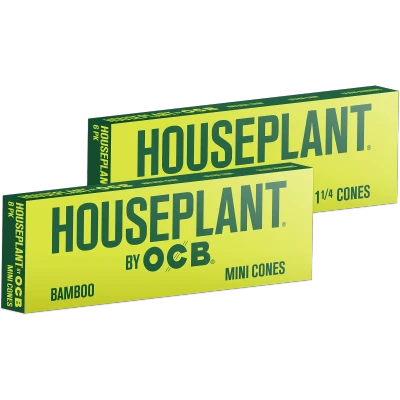 HOUSEPLANT BY OCB BAMBCOO CONE - DISPLAY OF 32