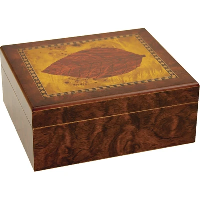 LUCIENNE LEAF CIGAR HUMIDOR HOLDS 25 CIGARS