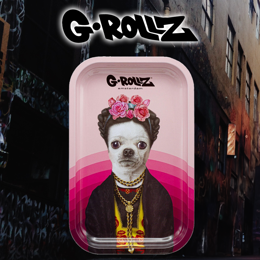 G-ROLLZ - MEXICO MEDIUM TIN TRAY 17.5 X 27.5 CM