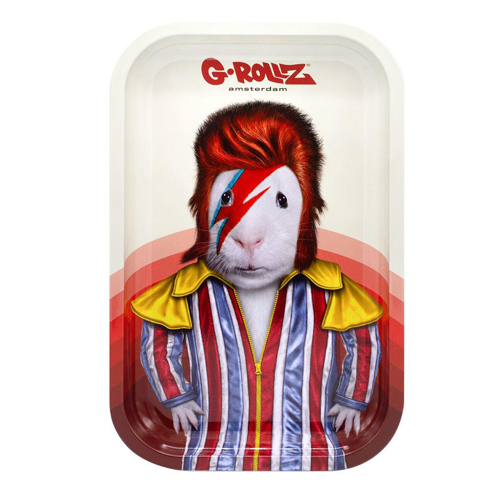  G-ROLLZ - GLAM ROCK MEDIUM TIN TRAY 17.5 X 27.5 CM 