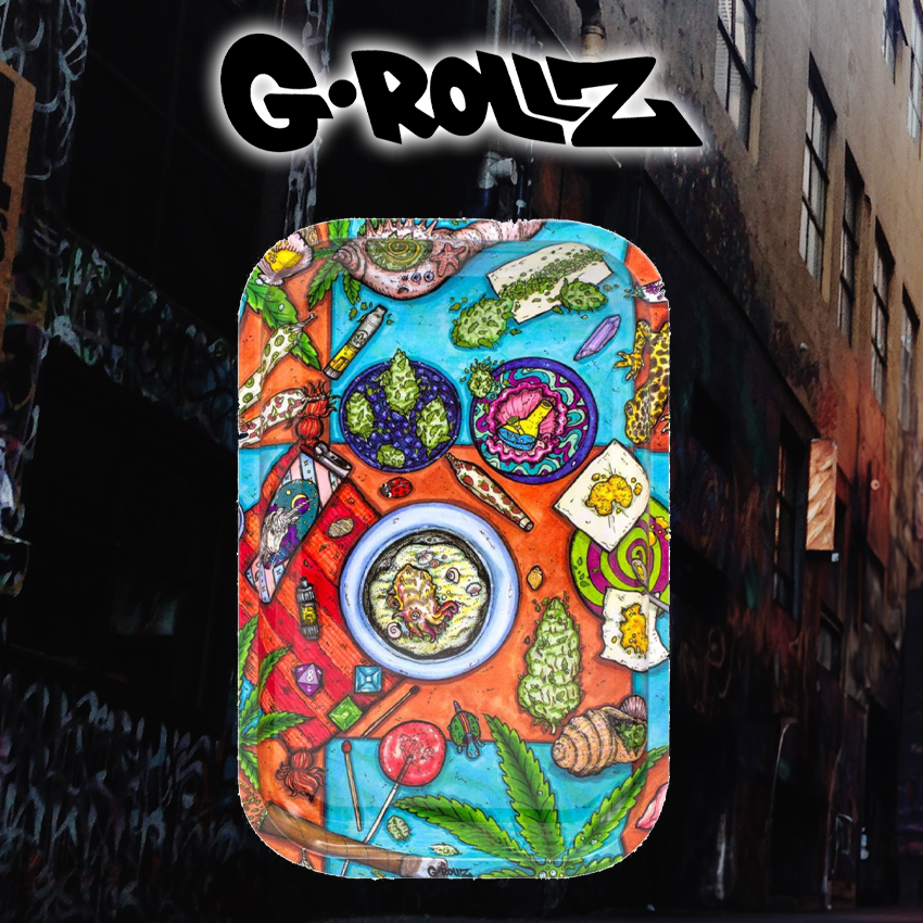 G-ROLLZ - AMSTERDAM PICNIC CHECKED MEDIUM TIN TRAY 17.5 X 27.5 CM