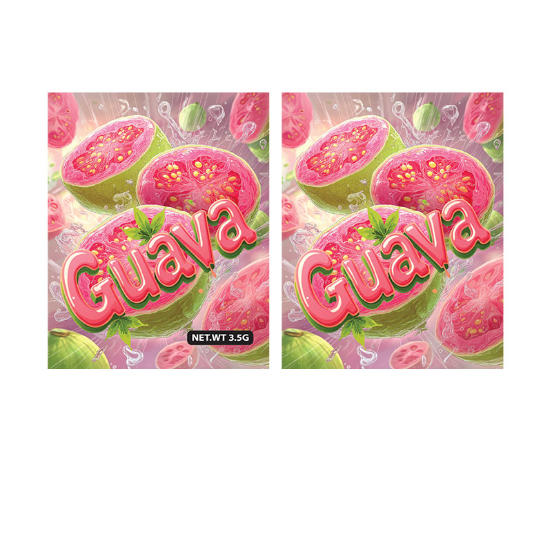 DESIGNED MYLAR SMELL PROOF BAGS 3.5G - BAG OF 100 COUNT - STYLE 3