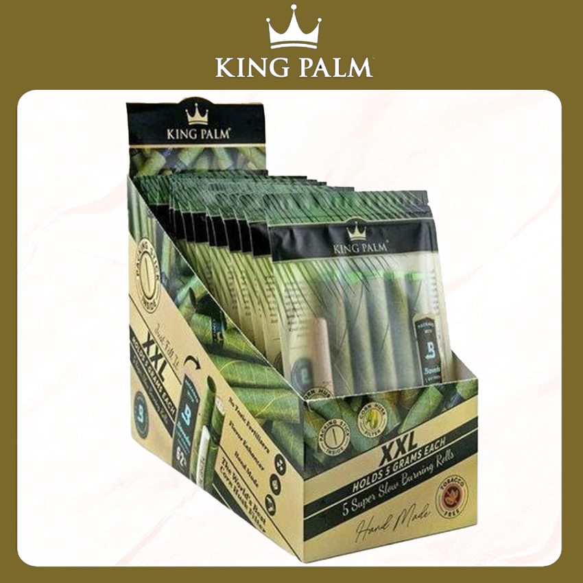 KING PALM 5PK BOVEDA XXL DISPLAY - 15CT