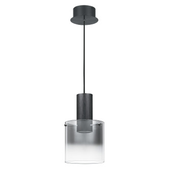 Quoizel Kilmer LED Mini Pendant in Earth Black - PCKR1508EK