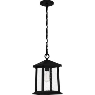 Quoizel Satterfield One Light Outdoor Hanging Lantern in Matte Black - SAT1909MBK