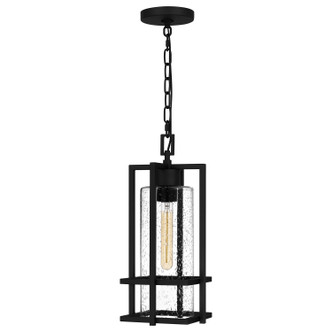Quoizel Damien One Light Outdoor Hanging Lantern in Earth Black - DMN1907EK