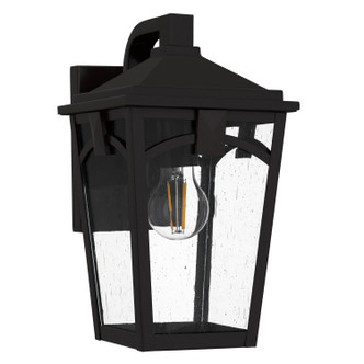 Quoizel Jaxon LED Outdoor Wall Lantern in Western Bronze - JAX8407WT