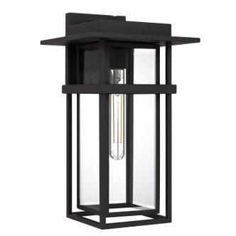 Quoizel Morgan One Light Outdoor Wall Lantern in Earth Black - MORG8410EK