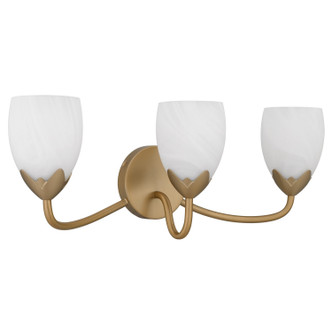 Quoizel Jacobs Three Light Vanity in Bronze Gold - JACO8624BGD