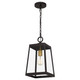Quoizel Amberly Grove One Light Mini Pendant in Western Bronze - AMBL1508WT