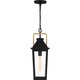 Quoizel Buckley One Light Outdoor Hanging Lantern in Matte Black - BUK1907MBK
