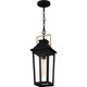 Quoizel Buckley One Light Outdoor Hanging Lantern in Matte Black - BUK1907MBK