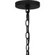 Quoizel Buckley One Light Outdoor Hanging Lantern in Matte Black - BUK1907MBK