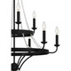 Quoizel Adelaide Nine Light Chandelier in Matte Black - ADL5030MBK
