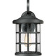 Quoizel Crusade One Light Outdoor Wall Lantern in Earth Black - CSE8410EK