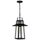 Quoizel Devonport One Light Outdoor Hanging Lantern in Matte Black - DEV1910MBK