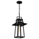 Quoizel Devonport One Light Outdoor Hanging Lantern in Matte Black - DEV1910MBK