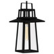 Quoizel Devonport One Light Outdoor Hanging Lantern in Matte Black - DEV1910MBK