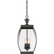 Quoizel Oasis Three Light Pendant in Medici Bronze - OAS1509Z