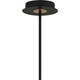Quoizel Azalea LED Island Chandelier in Matte Black - PCAZA340MBK