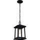 Quoizel Satterfield One Light Outdoor Hanging Lantern in Matte Black - SAT1909MBK