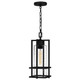 Quoizel Damien One Light Outdoor Hanging Lantern in Earth Black - DMN1907EK
